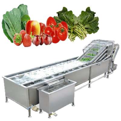 Multifunctional Automatic Fruit and Vegetable Washing Machine