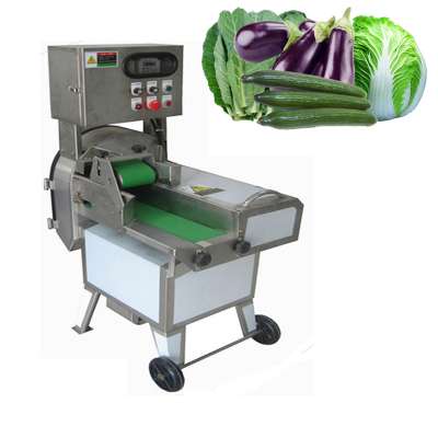 Multifunctional stainless steel fruit and vegetable slice cutting machine